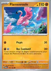 Carte Flamenroule 106/182