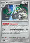 Carte Noacier 128/182