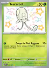 Carte Terracool 105/091
