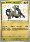 Carte Motorizard 195/091