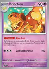 Carte Briochien 039/091