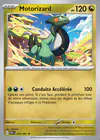 Carte Motorizard 070/091