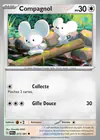 Carte Compagnol 073/091