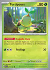 Carte Tortipouss 010/162