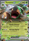 Carte Torterra ex 012/162