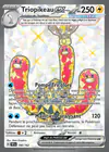 Carte Triopikeau ex 190/162