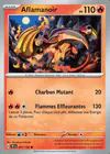 Carte Aflamanoir 031/162