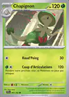 Carte Chapignon 007/162