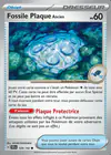 Carte Fossile Plaque Ancien 129/142