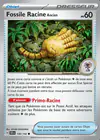 Carte Fossile Racine Ancien 130/142
