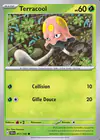 Carte Terracool 017/142