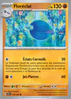 Carte Floréclat 115/191