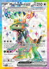 Carte Motorizard ex 228/191