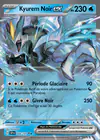 Carte Kyurem Noir ex 048/191