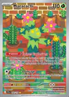 Carte Maracachi 160/159