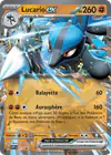 Carte Lucario ex 017/