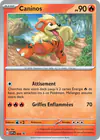 Carte Caninos 024/