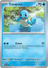 Carte Carapuce 048/