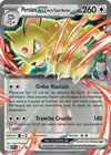 Carte Persian ex de la Team Rocket 218/