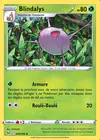 Carte Blindalys 009/196