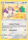 Carte Gouroutan 119/159