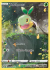 Carte Tortipouss GG31/GG70