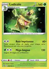 Carte Ludicolo 009/192
