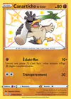 Carte Canarticho de Galar SV063/SV122