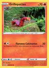 Carte Grillepattes 029/163
