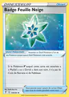Carte Badge Feuille Neige 159/203