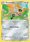 Carte Trousselin 186/264