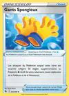 Carte Gants Spongieux 243/264