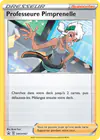 Carte Professeure Pimprenelle SWSH167/