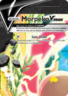 Carte Morpeko-V-UNION SWSH215/