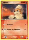 Carte Caninos 4/12
