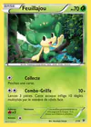 Carte Feuillajou 2/39