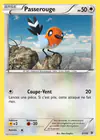 Carte Passerouge 31/39