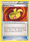 Carte Bandeau Muscle 121/146