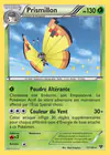 Carte Prismillon 17/146