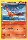 Carte Flambusard 28/146