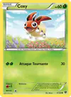 Carte Coxy 6/146