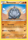 Carte Rhinocorne 60/146