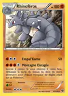 Carte Rhinoféros 61/146