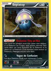 Carte Sepiatop 74/146