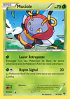 Carte Muciole 8/146