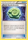 Carte Fossile Nautile Amonita 102/124