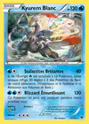 Carte Kyurem Blanc 21/124