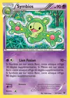 Carte Symbios 35/124