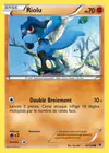 Carte Riolu 45/124