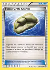 Carte Fossile Griffe Anorith 100/114